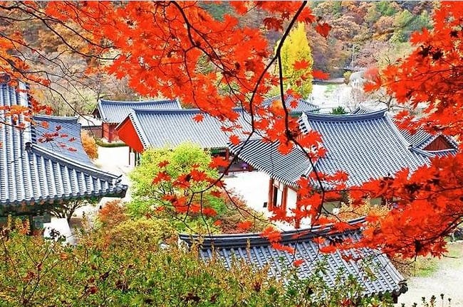 홍천 수타사 천년의 울림... 23일 초호화 라인업 음악회 개최